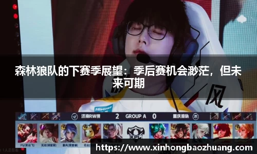 森林狼队的下赛季展望：季后赛机会渺茫，但未来可期