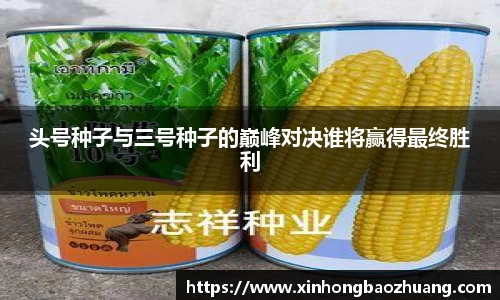 头号种子与三号种子的巅峰对决谁将赢得最终胜利