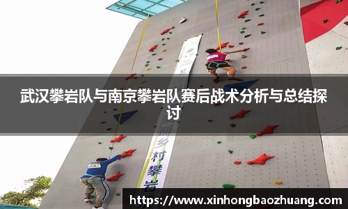 武汉攀岩队与南京攀岩队赛后战术分析与总结探讨